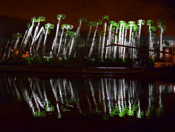 View of trees at night