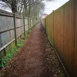 Walkway amidst trees against sky