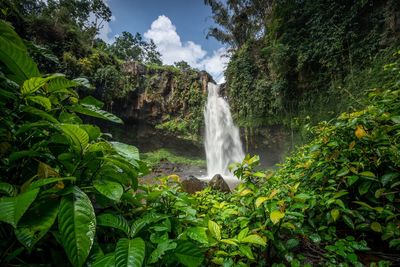 View of waterfall in forest and covered by leaves