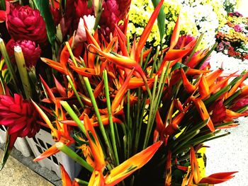 Close-up of flowers