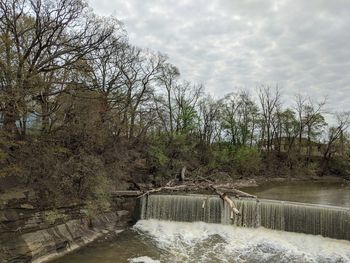 River amidst trees in forest against sky