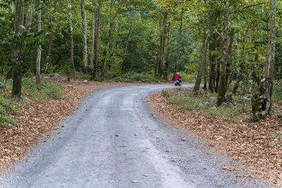 Man riding bicycle on road in forest