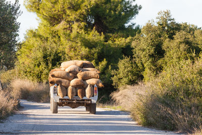 View of people on country road