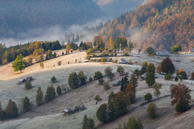 High angle view of trees on landscape against sky