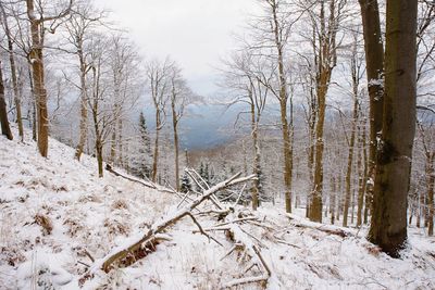 Sad moody, deep melancholy. fallen trunk on stony hill. snowy slippery boulders.