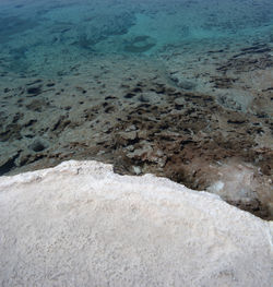 High angle view of rocks on beach