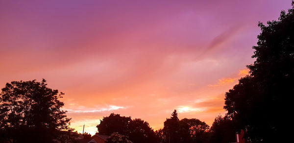 Low angle view of silhouette trees against sky during sunset