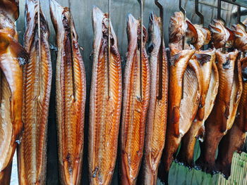 Close-up of fish for sale in market