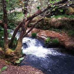 Scenic view of river flowing through rocks