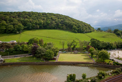 High angle view of trees on landscape against sky