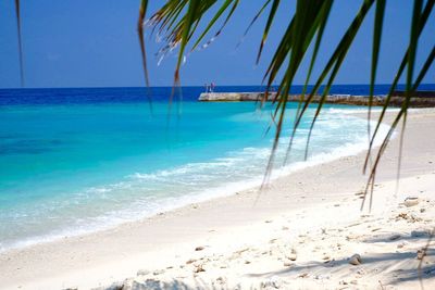 Scenic view of beach against blue sky