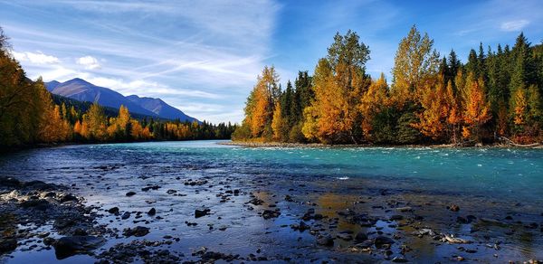 Scenic view of lake by trees in forest against sky