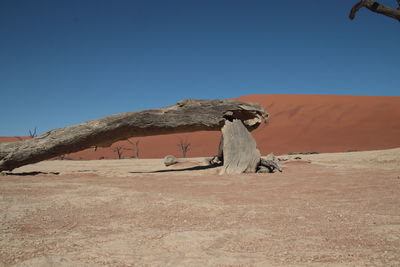 Horse standing on desert against clear blue sky
