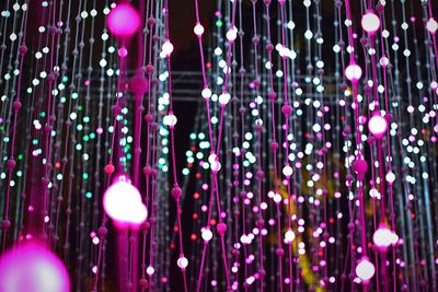 Low angle view of illuminated lanterns