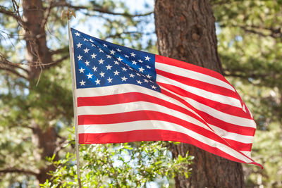 Low angle view of flag against trees