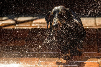 Man swimming in city at night