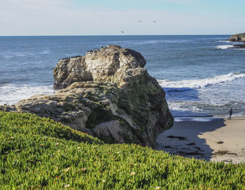 Scenic view of sea against clear sky