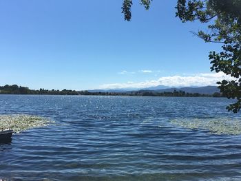 Scenic view of lake against clear blue sky