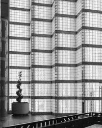 Potted plants in glass building