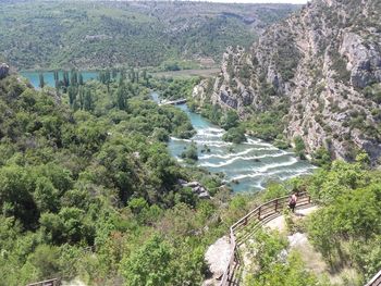 High angle view of river amidst trees