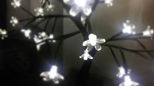 Close-up of illuminated lamp post