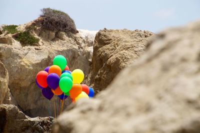 Low angle view of multi colored balloons on rock