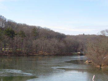 Scenic view of lake in forest against sky