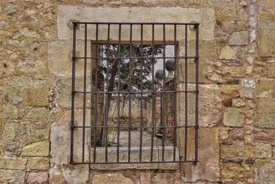 Low angle view of bird perching on window