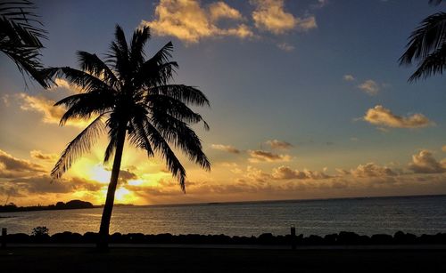 Silhouette palm trees on beach against sky during sunset