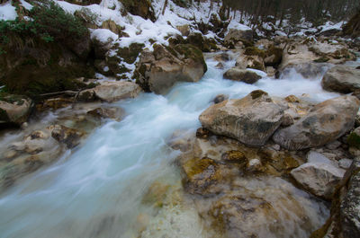 Scenic view of stream flowing through rocks in forest