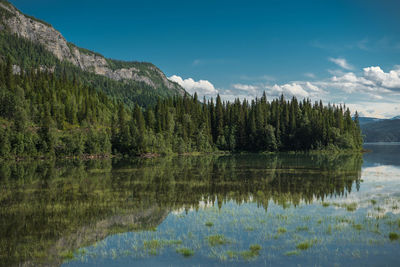 Scenic view of lake by trees against sky