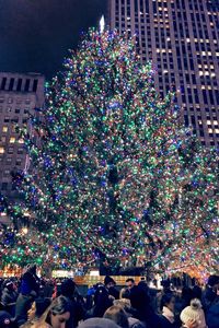 Illuminated christmas tree at night