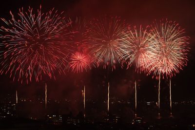 Fireworks exploding in night sky