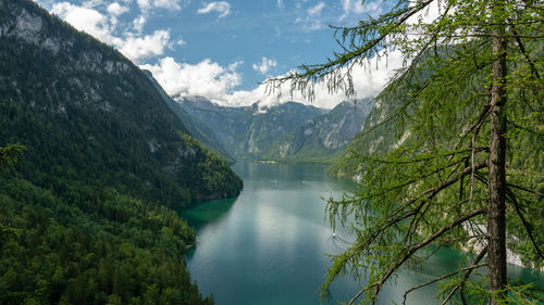 Scenic view of lake amidst trees in forest against sky