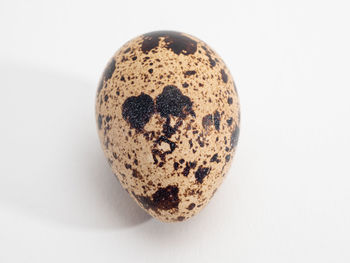 Directly above shot of egg on white background