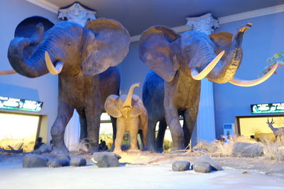 Elephant statue in museum