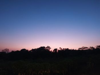 Silhouette trees on field against clear sky at sunset