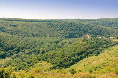 Ancient ruined castle in woods. mystical building. impassable thickets of shrubs.