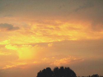 Low angle view of silhouette trees against sky at sunset