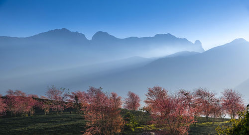 Scenic view of mountains against clear sky