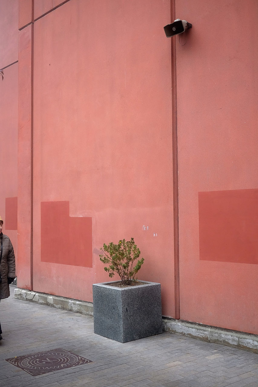 architecture, built structure, building exterior, wall - building feature, wall, door, red, closed, entrance, house, potted plant, plant, brick wall, no people, day, sidewalk, outdoors, building, street, lighting equipment