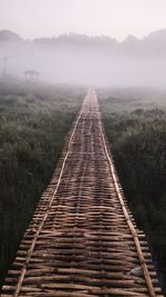 Boardwalk against trees during foggy weather