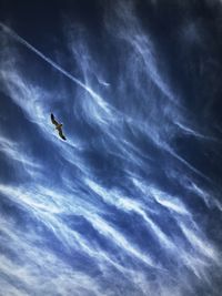 Low angle view of bird flying against clear sky