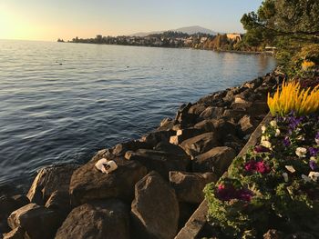 Scenic view of sea against sky