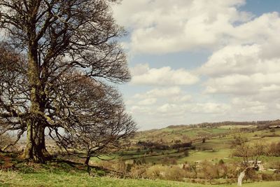 Scenic view of grassy field against cloudy sky