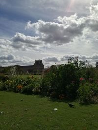 Trees and plants on field against sky