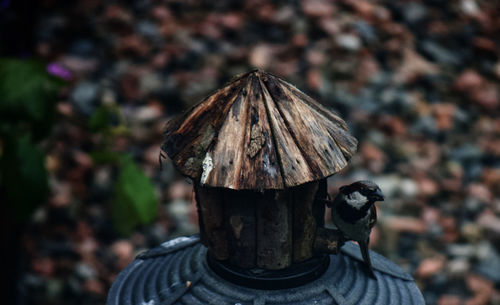 Close-up rear view of man outdoors