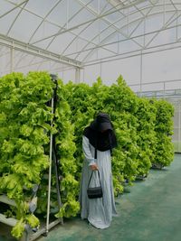Rear view of woman standing in greenhouse