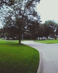 Trees in park