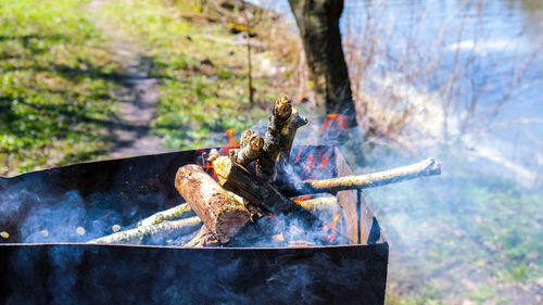 Firewood burning on a brazier. bbq on the garden. smoky bonfire. fire for grill. summer leisure 